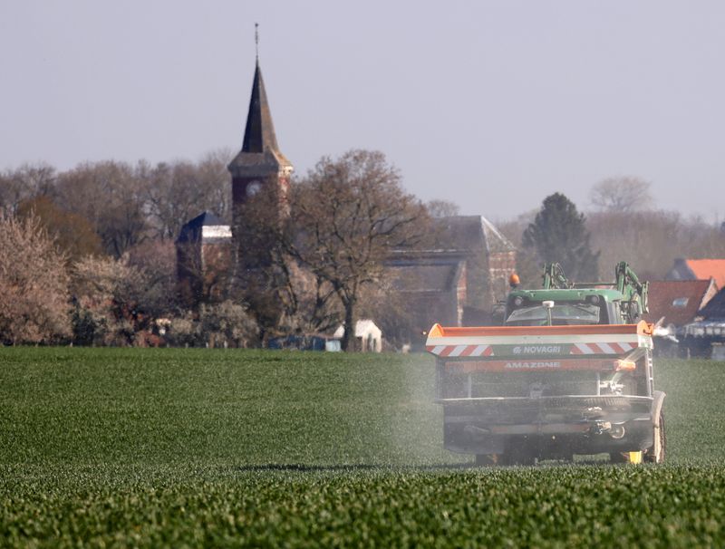 &copy; Reuters. A farmer spreads nitrogen fertilizer in his wheat field in Blecourt