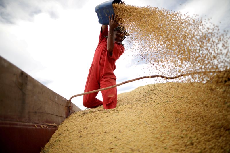 © Reuters. Trabalhador movimenta grãos de soja em Campos Lindos (TO)