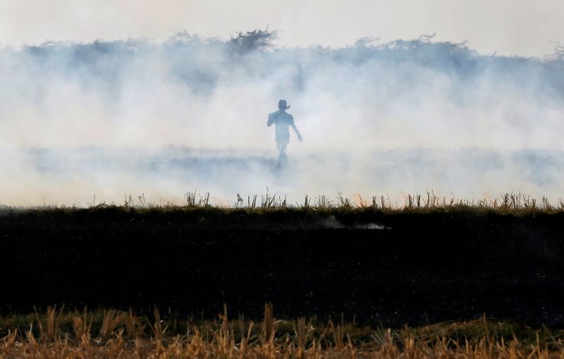 &copy; Reuters. FILE PHOTO: A farmer burns paddy waste stubble in a field on the outskirts of Ahmedabad