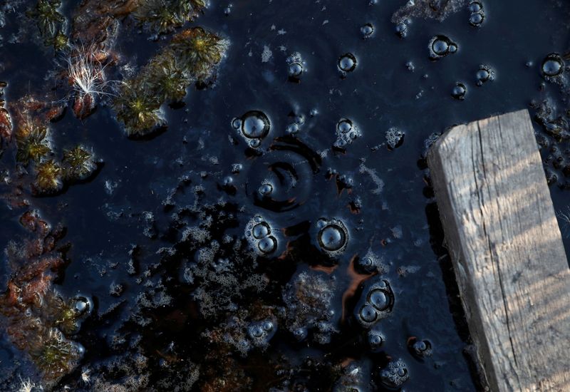 &copy; Reuters. FILE PHOTO: Methane bubbles are seen in an area of marshland at a research post at Stordalen Mire near Abisko