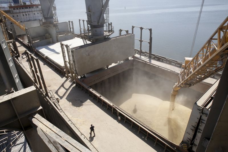 &copy; Reuters. File photo of dockyard worker watching as barley grain is mechanically poured into a ship at Ukrainian agricultural exporter&apos;s shipment terminal in Mykolaiv