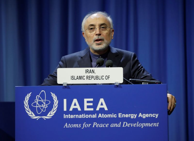&copy; Reuters. رئيس منظمة الطاقة الذرية الإيرانية: التخصيب بنسبة 60% بدأ في نطنز