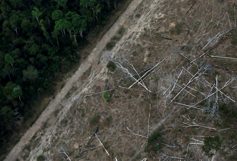 &copy; Reuters. Imagen de archivo. Vista aérea de porción deforestada del Amazonas, cerca de Porto Velho