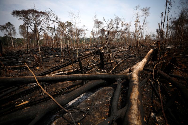 &copy; Reuters. Vista de área desmatada na Floresta Nacional Bom Futuro, em Rondônia