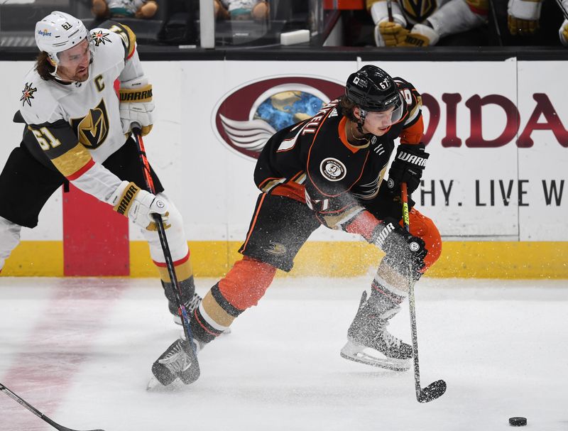 &copy; Reuters. NHL: Vegas at Anaheim Ducks