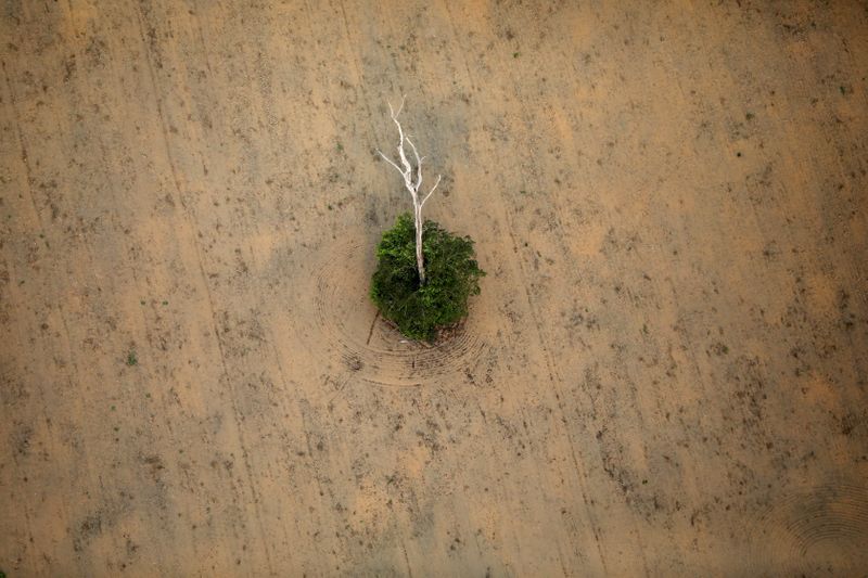 &copy; Reuters. Área desmatada da floresta amazônica