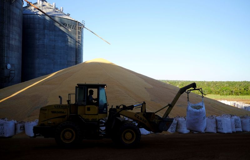 © Reuters. FILE PHOTO: Ggeneral view shows second corn (winter corn) stored outside of the silos that are full of corn, as a man uses a tractor near Sorriso in the Mato Grosso state