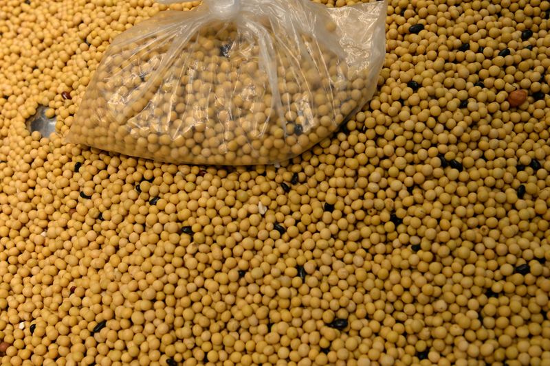 &copy; Reuters. FOTO DE ARCHIVO. Una bolsa de granos encima de la soja, en Pekín, China