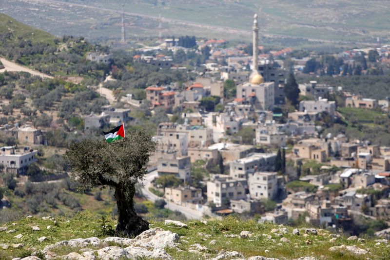 &copy; Reuters. FOTO DE ARCHIVO: Una bandera palestina cuelga de un árbol en el pueblo de An-Naqura, cerca de Nablus, en la Cisjordania ocupada por Israel