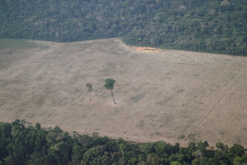 &copy; Reuters. Vista aérea de área da Amazônia desmatada em Rondônia