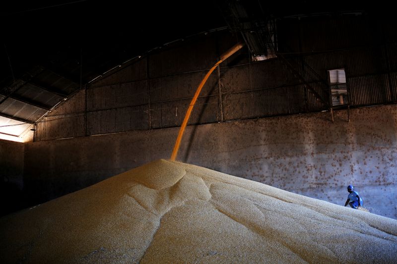 &copy; Reuters. Montanha de milho colhido na segunda safra do cereal no Brasil