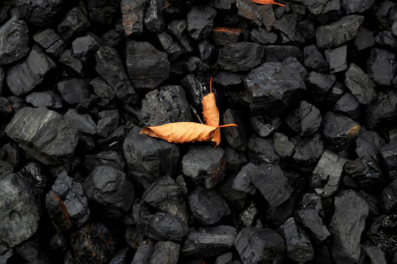 &copy; Reuters. FILE PHOTO: A leaf sits on top of a pile of coal in Youngstown, Ohio
