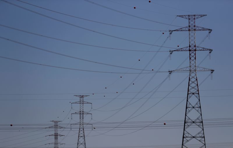 &copy; Reuters. FILE PHOTO: Electric power cables are seen near an Energias de Portugal (EDP) power plant on the outskirts of Carregado