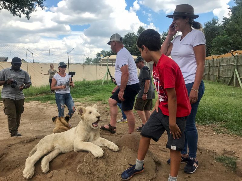 &copy; Reuters. FILE PHOTO: Tourists interact with a lion cub at the Lion and Safari Park near Johannesburg