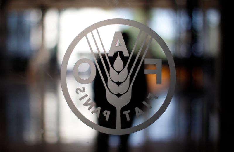 &copy; Reuters. شعار منظمة الأغذية والزراعة التابعة للأمم المتحدة (فاو) في صورة من أرشيف رويترز.