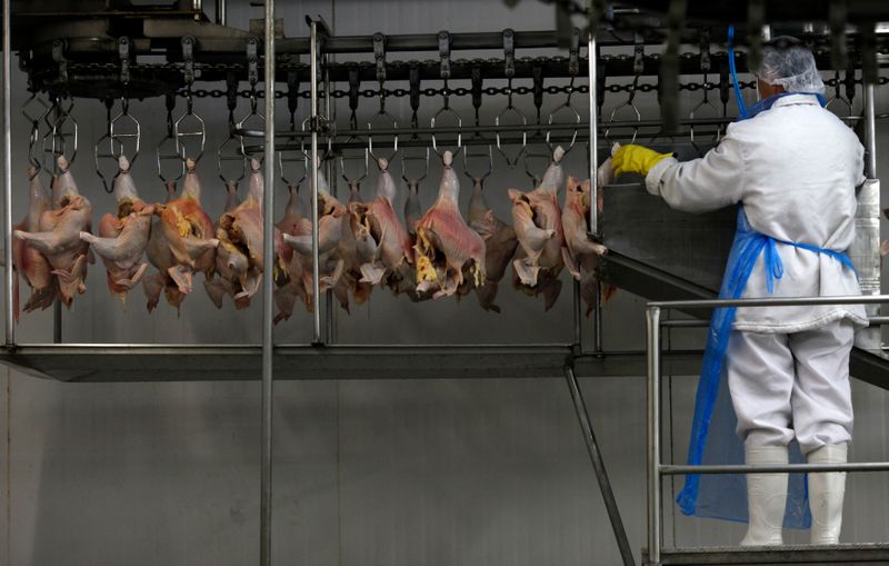 &copy; Reuters. Carne de aves em frigorífico em Itatinga (SP) 
04/10/2011
REUTERS/Paulo Whitaker 