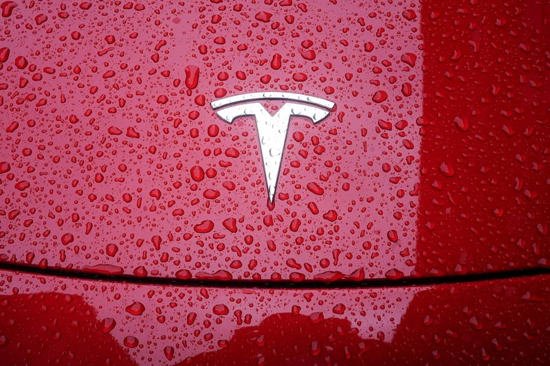 &copy; Reuters. FILE PHOTO: A Tesla logo is pictured on a car in the rain in New York City