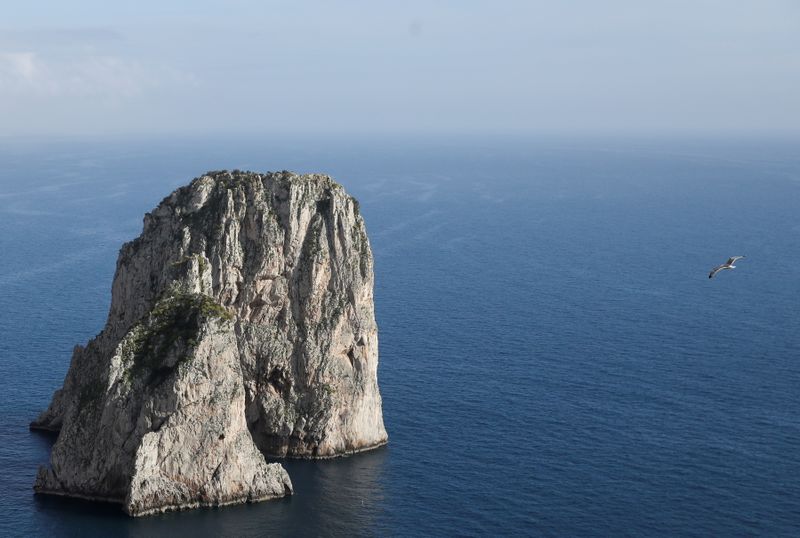 &copy; Reuters. A view of the Faraglioni giant rocks off the coast of Capri, where the surrounding seabed has been devastated by illegal fishing of valuable shellfish known as date mussels, in Capri, Italy, April 28, 2021. Picture taken April 28, 2021. REUTERS/Yara Nardi