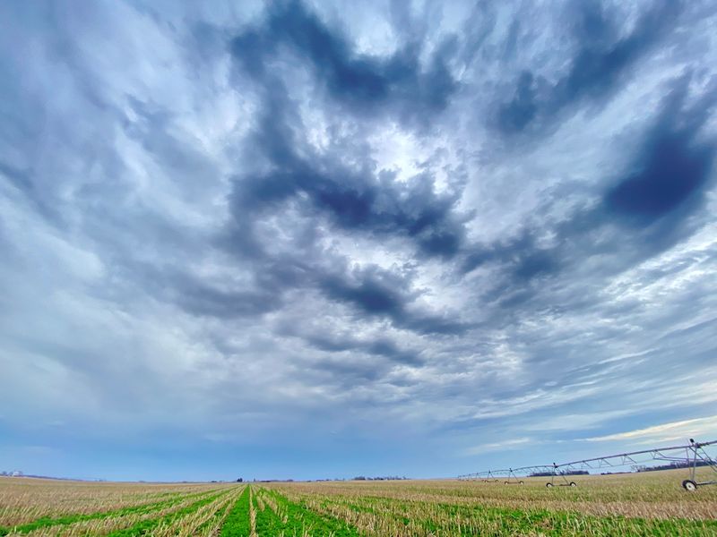 &copy; Reuters. FOTO DE ARCHIVO-Un campo de maíz en el condado de Butler, Nebraska, Estados Unidos. 6 de abril de 2021. Lukas Fricke/Handout via REUTERS ESTA IMAGEN HA SIDO SUMINISTRADA POR UN TERCERO