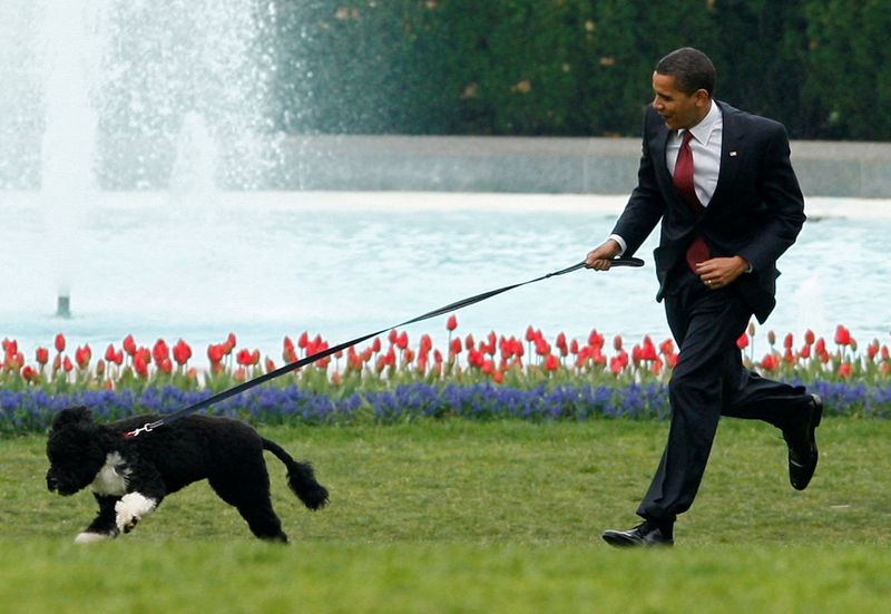&copy; Reuters. أوباما وكلبه (بو) في حديقة البيت الأبيض. أرشيف رويترز  