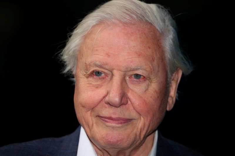 &copy; Reuters. FILE PHOTO: Broadcaster and film maker David Attenborough attends the premiere of Blue Planet II at the British Film Institute in London, Britain, September 27, 2017. REUTERS/Hannah McKay
