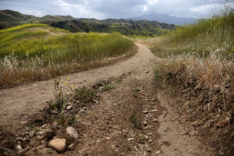 © Reuters. FILE PHOTO: Dried mud is seen on the path in the burn zone of Chino Hills State Park, as California faces a drought, in Chino Hills, California, U.S., April 21, 2021. REUTERS/Lucy Nicholson/File Photo
