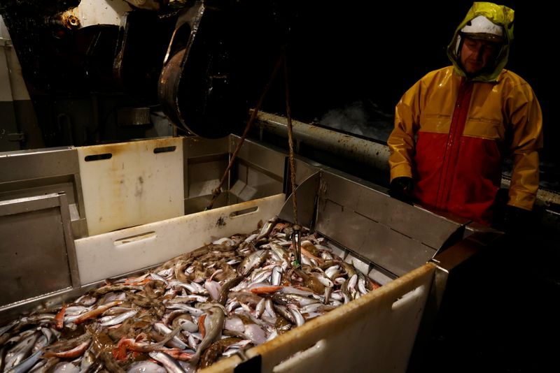 &copy; Reuters. On board the French fishing vessel Nicolas Jeremy in the North Sea