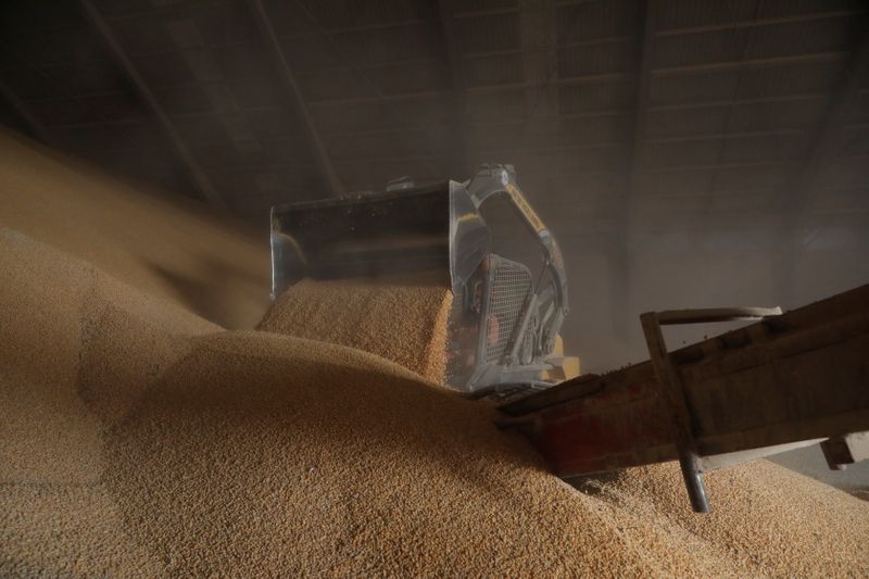 &copy; Reuters. Armazém com estoque de milho
REUTERS/Henry Romero