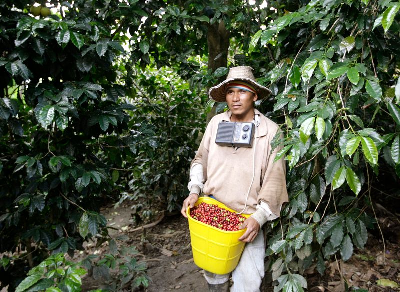 &copy; Reuters. Foto de archivo. Un caficultor colombiano descansa después de recoger los granos de café en una finca cerca de Monserrate, en el departamento del Huila, Colombia, 17 de julio, 2008.  REUTERS/José Miguel Gómez