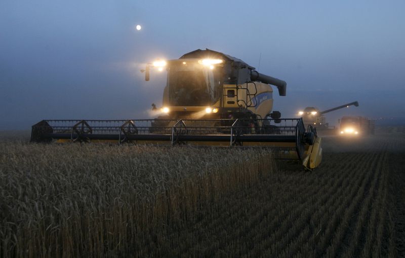 &copy; Reuters. Combine harvesters work after sunset on a wheat field of the Solgonskoye farming company near the village of Talniki, southwest from Siberian city of Krasnoyarsk, Russia, August 27, 2015. Russia, one of the world's top wheat exporters, will harvest its th