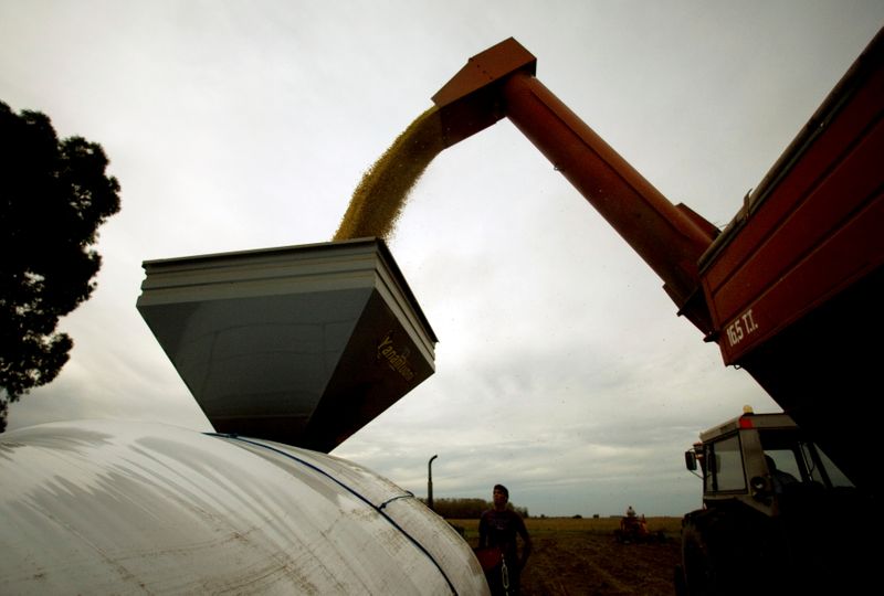 © Reuters. Colheita de soja em Estación Islas, Argentina 
03/04/2010
REUTERS/Enrique Marcarian