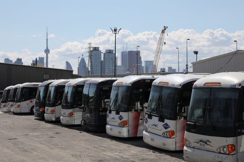 &copy; Reuters. Idle Greyhound buses are parked after the transportation company announced that it had permanently closed its service in Canada