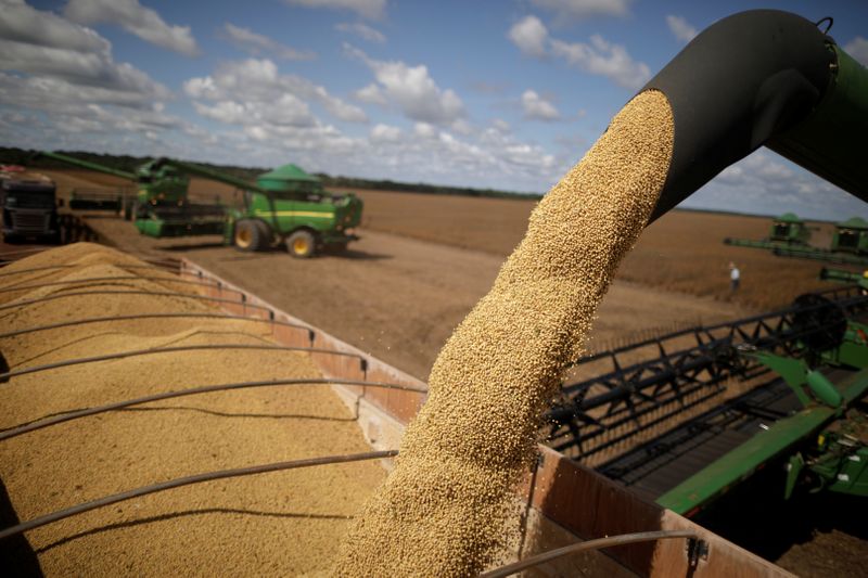 &copy; Reuters. Máquinas avançam sobre plantações em Caseara, no Brasil, durante cerimônia de abertura da colheita de grãos
REUTERS/Ueslei Marcelino