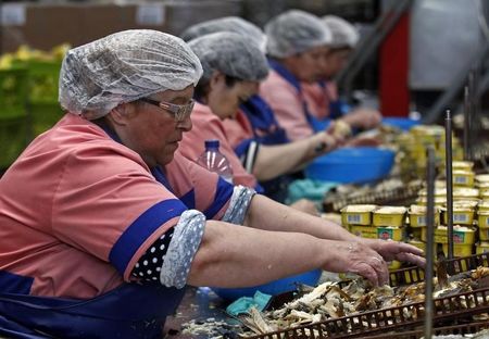 © Reuters. Women work at the Ramirez fish canning factory in Leca da Palmeira