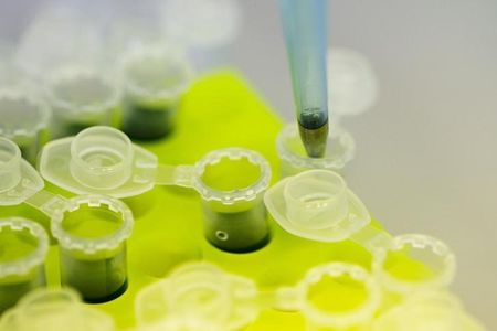 © Reuters. Proteínas de plantas de tabaco em laboratório da empresa Icon Genetics