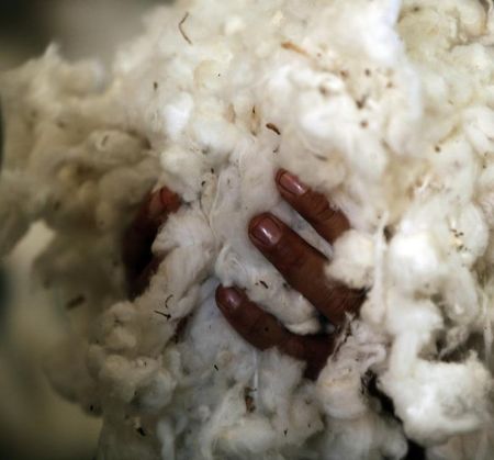 © Reuters. Homem segura monte de algodão na fazenda Falavinha, em Deciolândia, no Mato Grosso