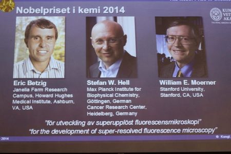 © Reuters. فوز أمريكيين وألماني بجائزة نوبل للكيمياء لعام 2014