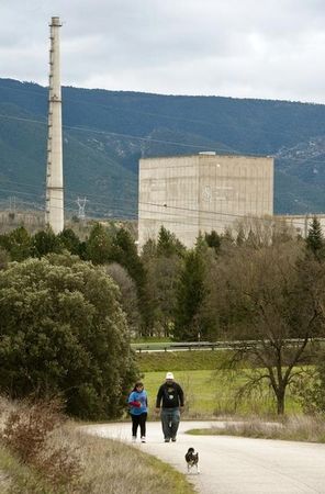 © Reuters. El Consejo de Seguridad Nuclear avala la renovación de la central de Trillo