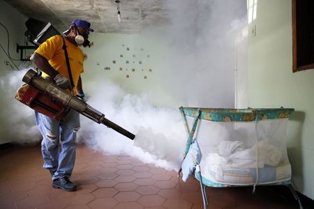 © Reuters. Worker carries out fumigation to help control the spread of Chikungunya and dengue fever, which are caused by viruses carried by mosquitoes, in the Petare slum district of Caracas