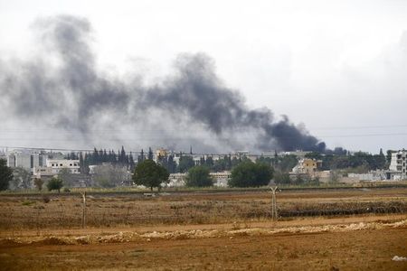 © Reuters. الضربات الجوية المكثفة تعوق تقدم الدولة الاسلامية في كوباني السورية
