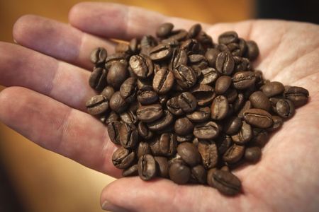 © Reuters. Irving Farm Coffee Roasters buyer Dan Streetman holds a handful of La Bendicion coffee beans in Manhattan