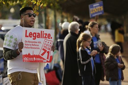 © Reuters. Melvin Clay of the DC Cannabis Campaign holds a sign urging voters to legalize marijuana, in Washington