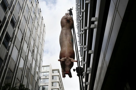 © Reuters. A piglet is hanged outside the finance ministry during a rally by Greek bondholders in Athens