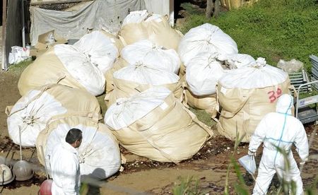 © Reuters. Holanda prohíbe el transporte de aves tras encontrar cepa de gripe