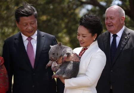 © Reuters. Australian Governor-General Peter Cosgrove stands with China’s President Xi Jinping and his wife Peng Liyuan, as she holds a wombat in the grounds of Government House in Canberra