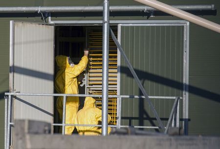 © Reuters. Especialistas com trajes especiais examinam bandejas em fazenda de aves, na Holanda