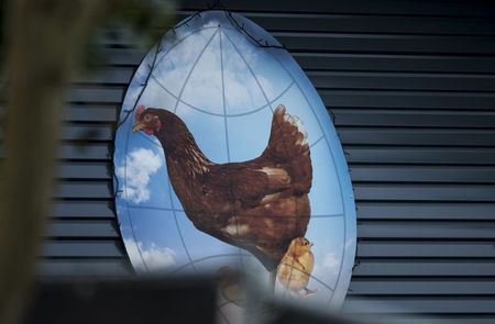 © Reuters. A logo is seen at the entrance of a poultry farm, where a highly contagious strain of bird flu was found by Dutch authorities, in Hekendorp