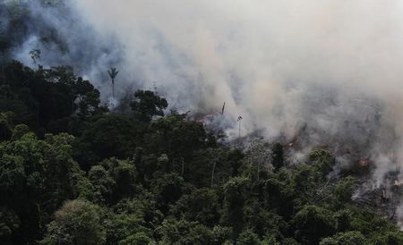 © Reuters. Vista aérea de queimada na Amazônia