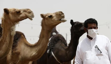 © Reuters. A man wearing a mask looks on as he stands in front of camels at a camel market in the village of al-Thamama near Riyadh