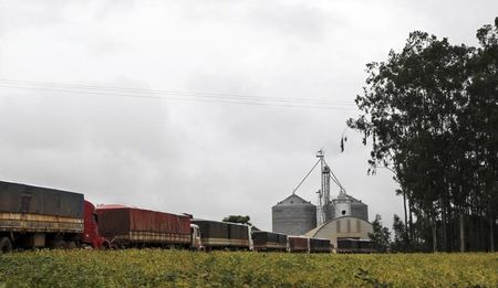 © Reuters. Caminhões fazem fila para descarregar soja em armazém na cidade de Campo Verde